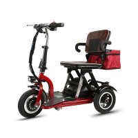 Электротрицикл Elbike Адъютант A1 48V12Ah Trike красный