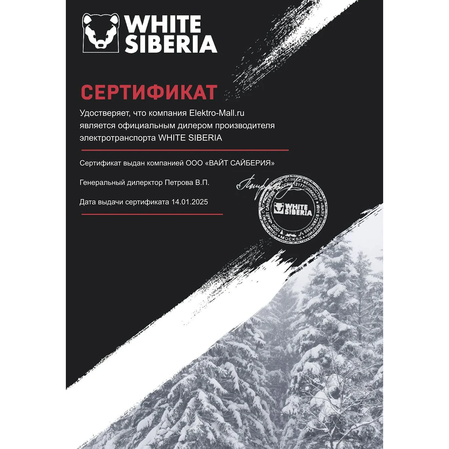 Электромотоцикл WHITE SIBERIA SUR-RON X Light bee 6000W 60V40AH синий 16 Электромотоцикл WHITE SIBERIA SUR-RON X Light bee 6000W 60V40AH синий 16