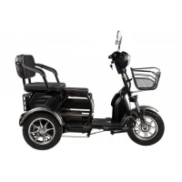 Электротрицикл Rutrike S2 V2 трансформер черный