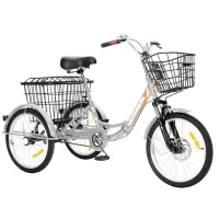 Трехколесный велосипед для взрослых РВЗ Чемпион 20" 1 скорость (складной) серебристый